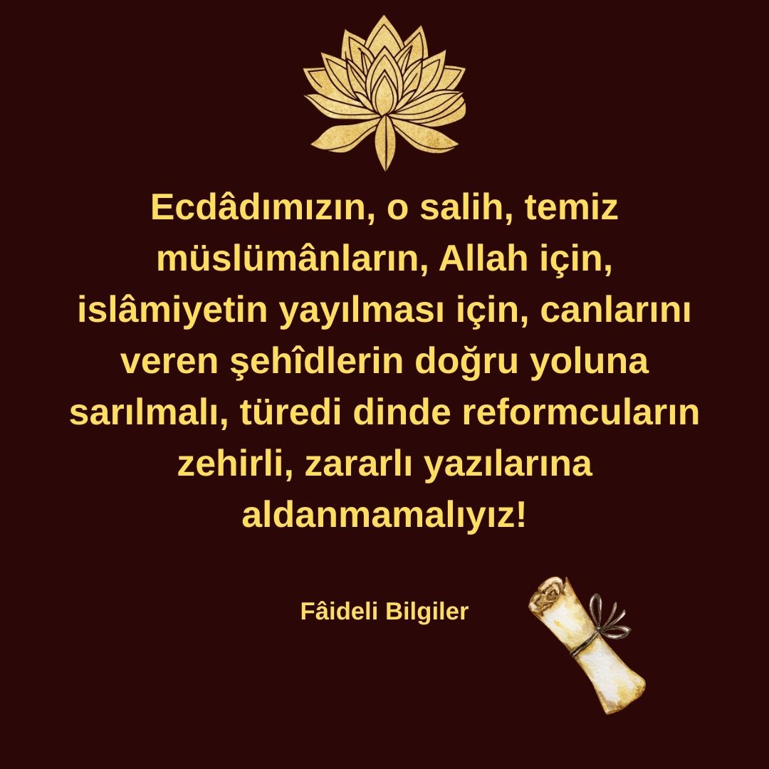 Fâideli Bilgiler (3)